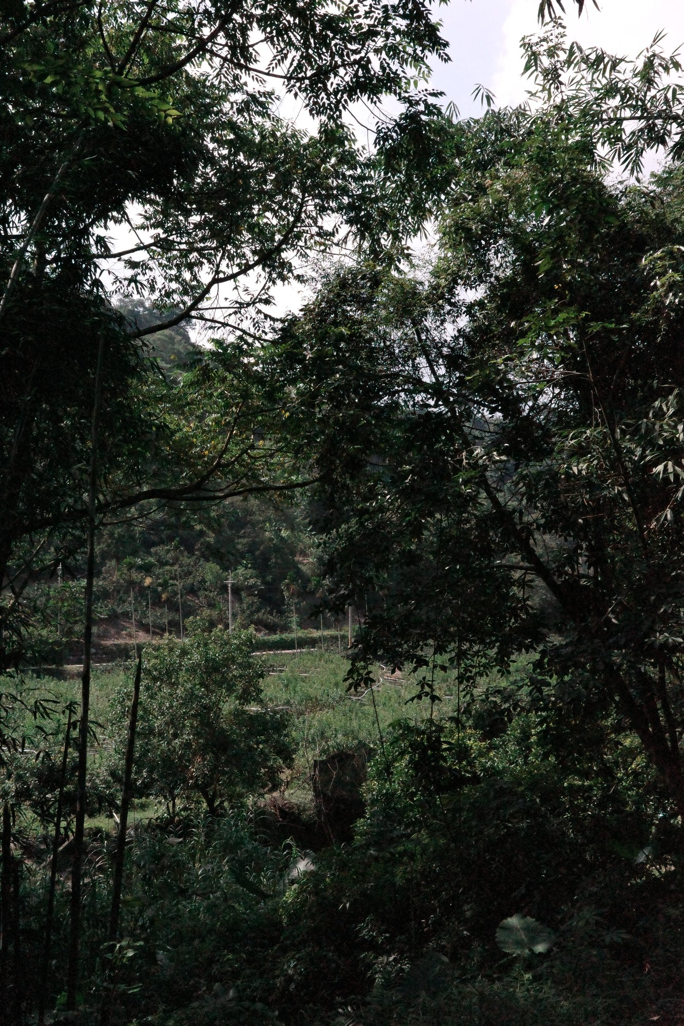 R0007032.JPG