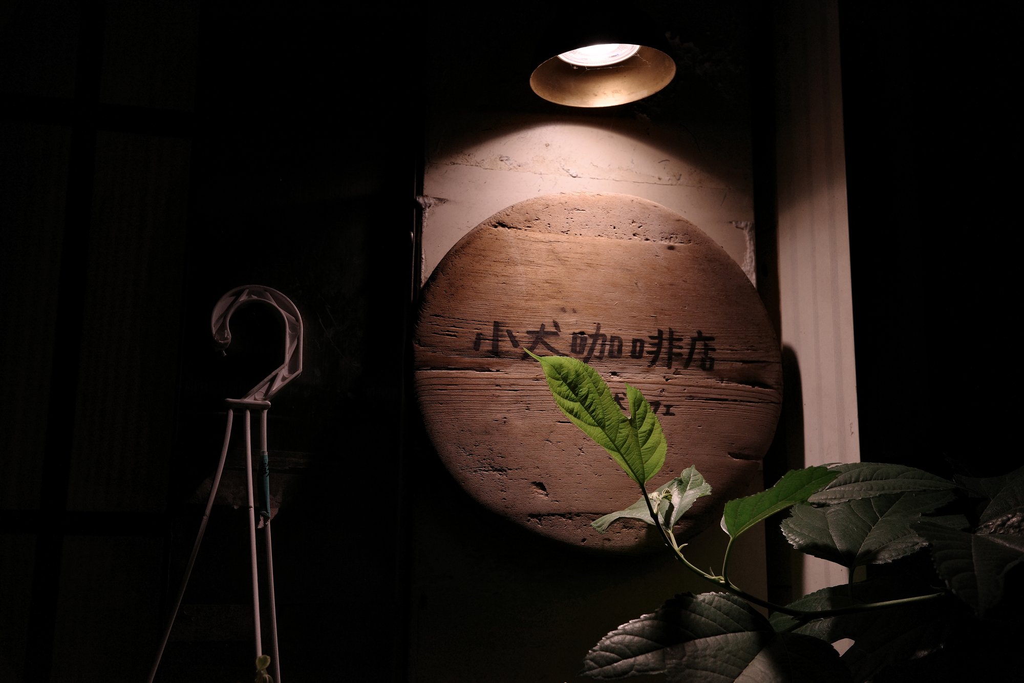 R0008062.JPG