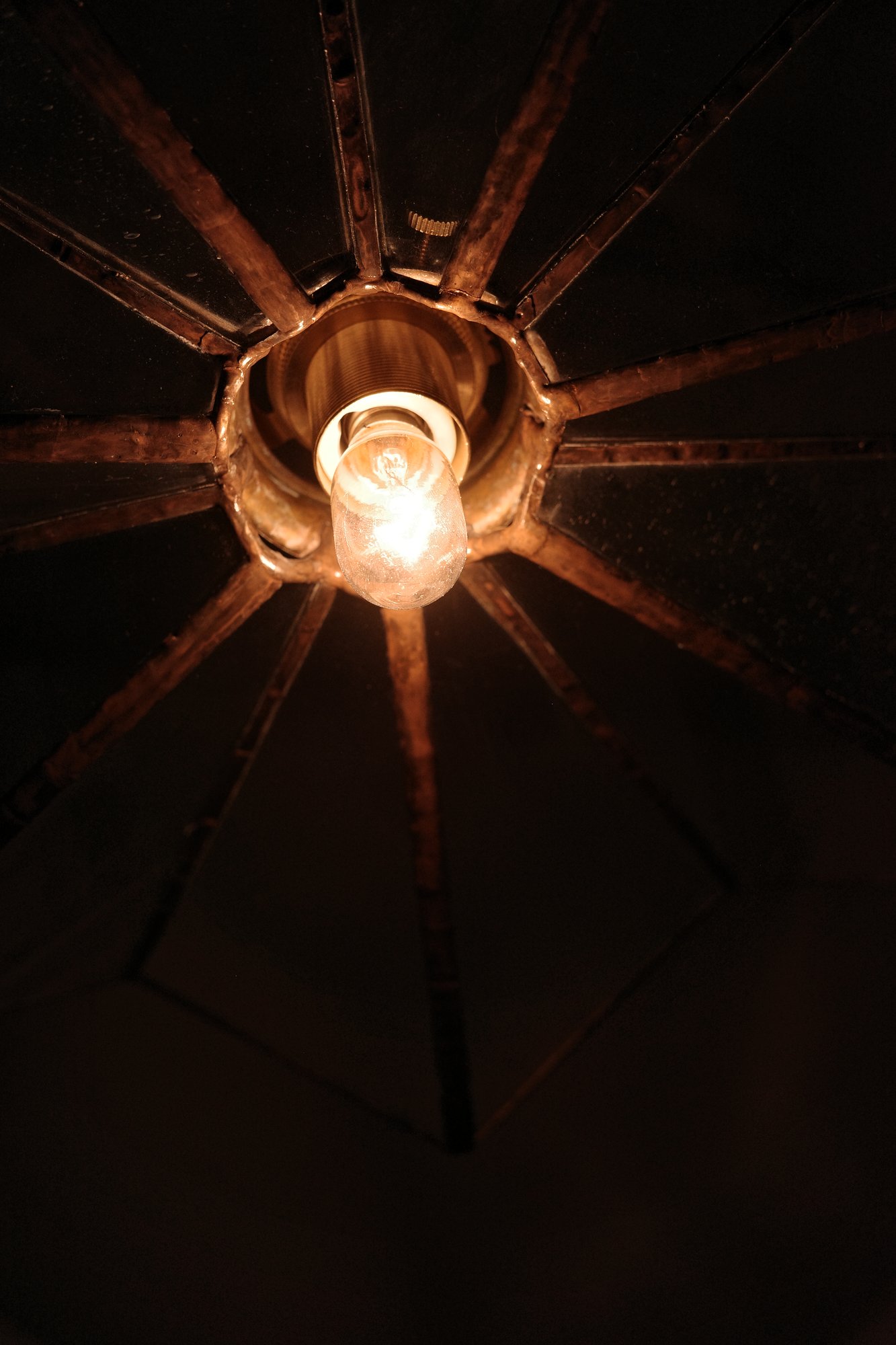 R0008648.JPG